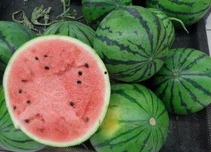 美味快递在线观看西瓜,在线观看西瓜,尽享美食盛宴 第1张 美味快递在线观看西瓜,在线观看西瓜,尽享美食盛宴 第1张