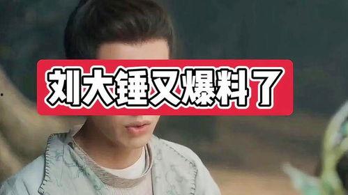 娱乐圈刘大锤爆料是真的吗,真相还是谣言? 第2张 娱乐圈刘大锤爆料是真的吗,真相还是谣言? 第2张