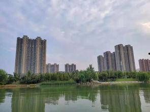 汕头龙湖区爆料案件最新,惊曝重大案件细节披露